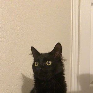 Meet your Posher, Titty